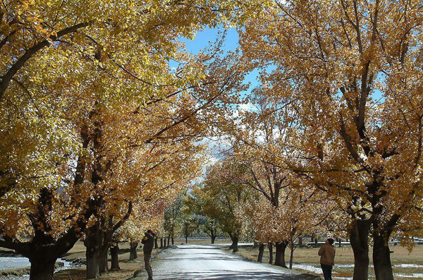 Kangding In Fall